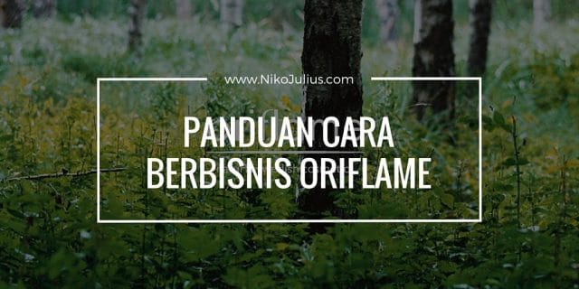 cara berbisnis oriflame