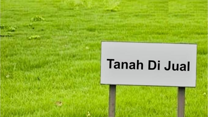 cara berbisnis tanah