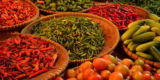 bisnis hasil bumi