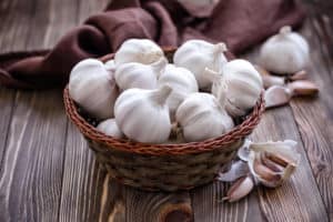 Umbi Bawang Putih (Allium Sativum)